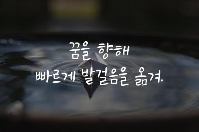 개미똥꾸멍