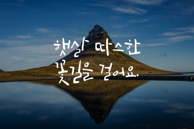꽃길