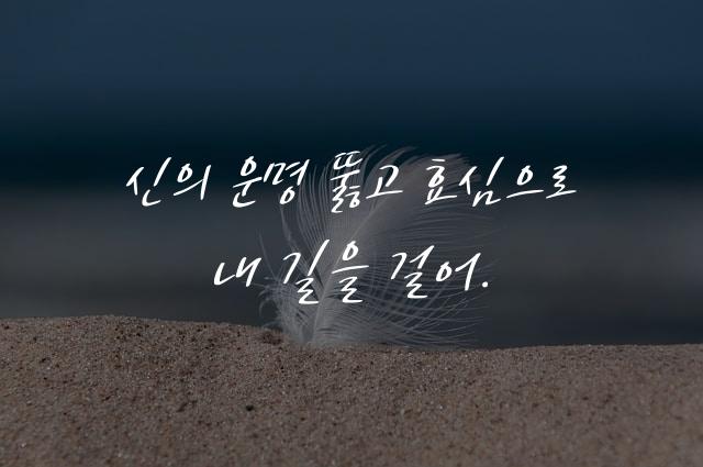 신과장