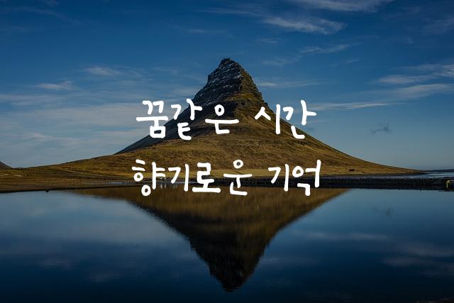 꽃집막내딸