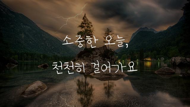 카드