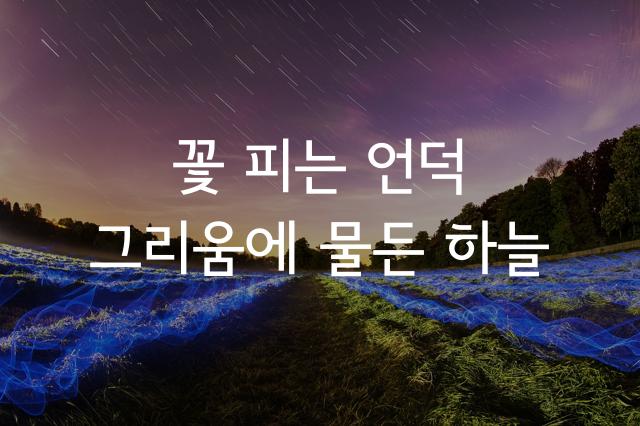 서울남산체