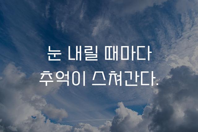 싸락눈체