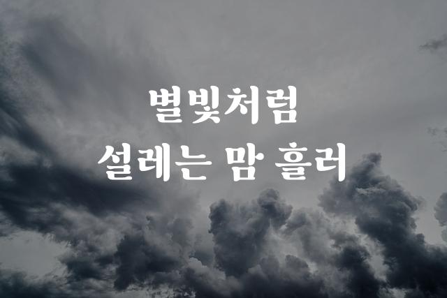 SF함박눈