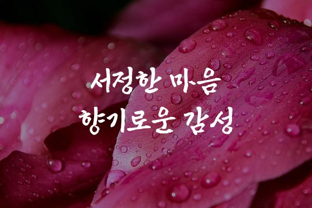 신라문화체