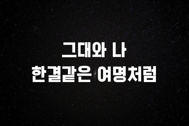 신라고딕체