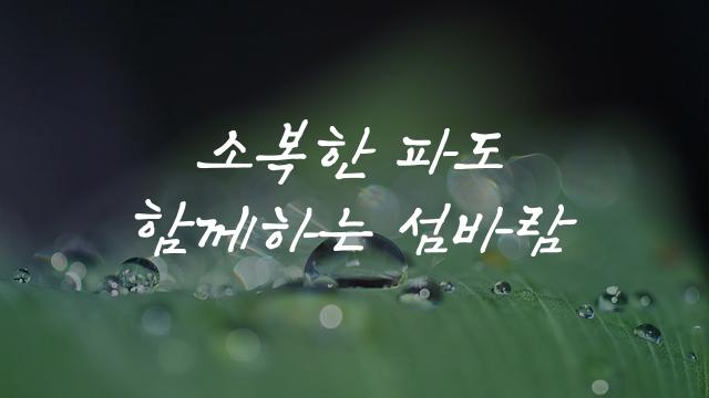 속초바다 손글씨체