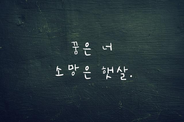 솔인써니체