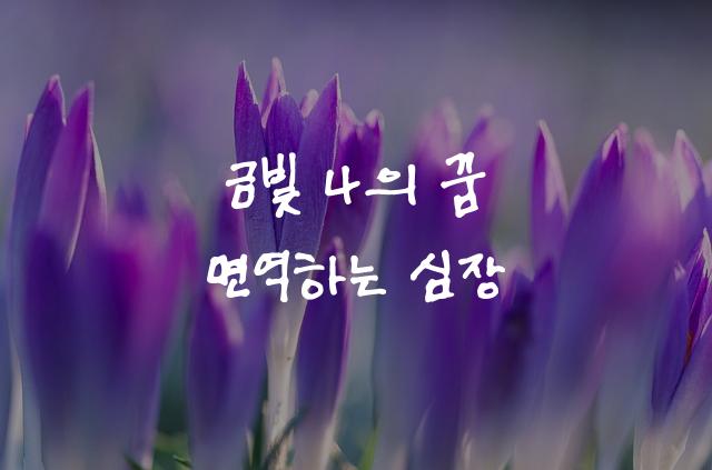 금면성실