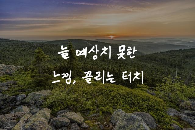 순악필여사