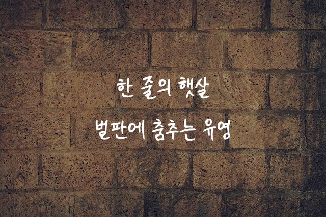 온글잎 석영체