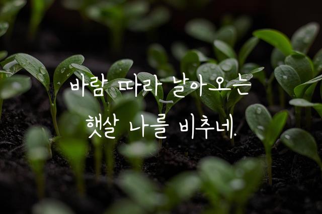 성실체