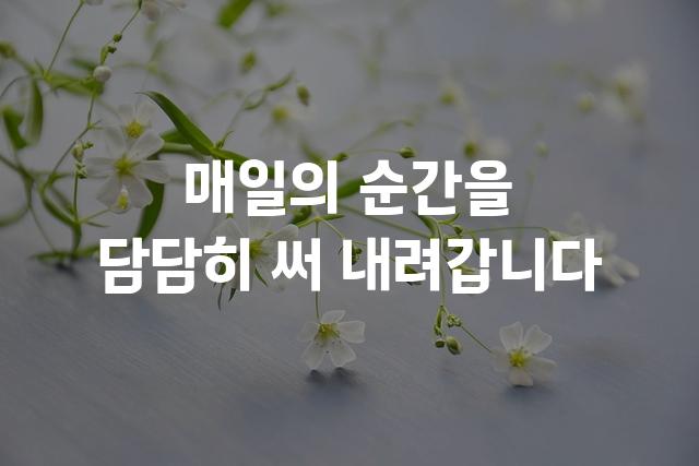 수성돋움체