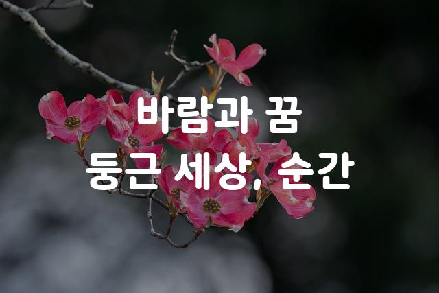티머니 둥근바람