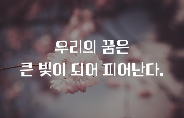 학교안심 돋보기