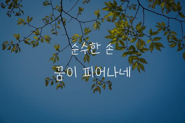 학교안심 꼬꼬마