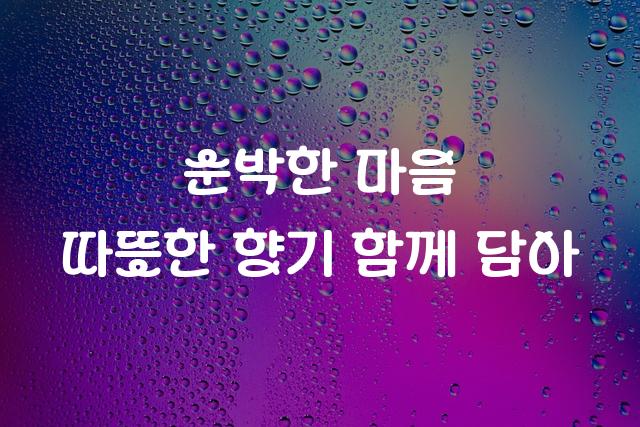 학교안심 꽈배기