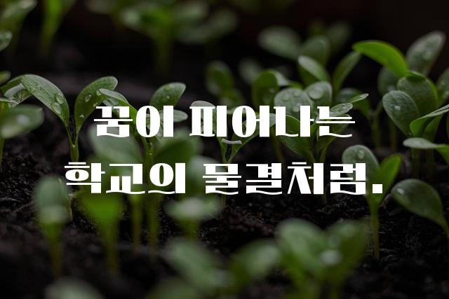 학교안심 물결