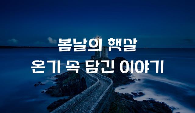 학교안심 나무