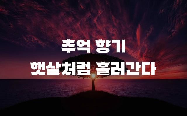 학교안심 사물함