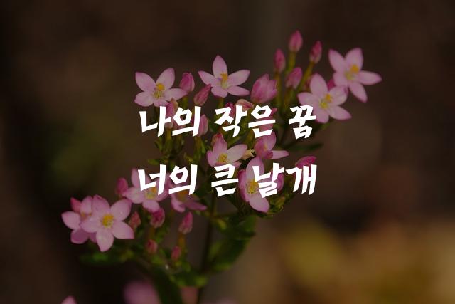학교안심 투호