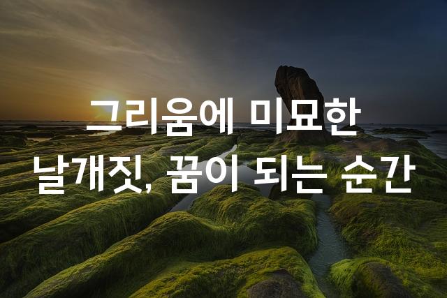 티웨이날다체