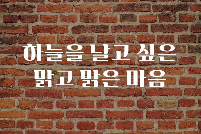 티웨이하늘체