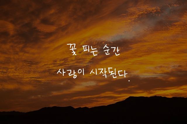 어비 앤체