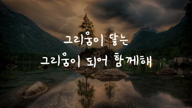 어비 봉식이체