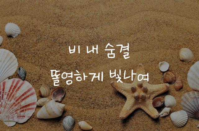 어비 똘영체