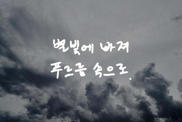 어비 동경체