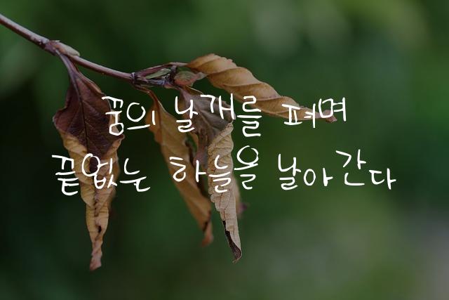 어비 은디체