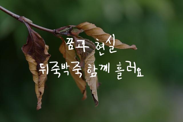 어비 뒤죽박죽체