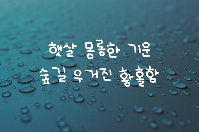 어비 한비