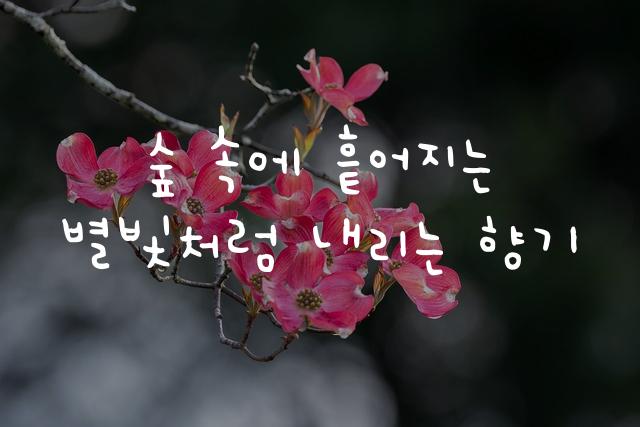 어비 하뉴이체