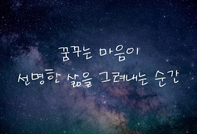 어비 하울체