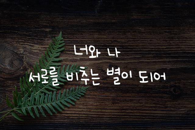 어비 혜키체