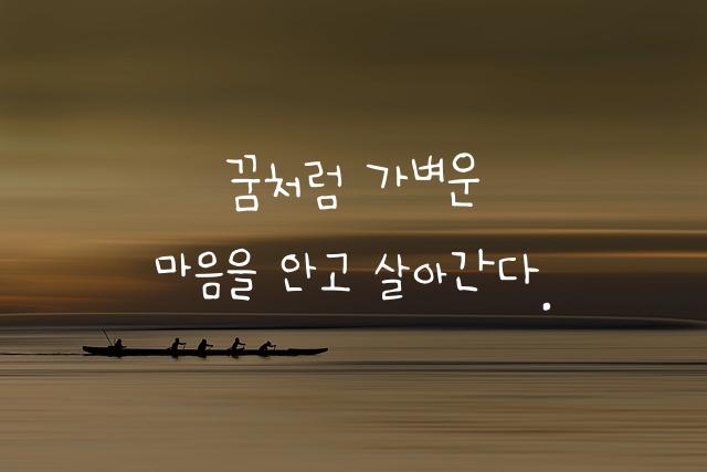 어비 혜몽체