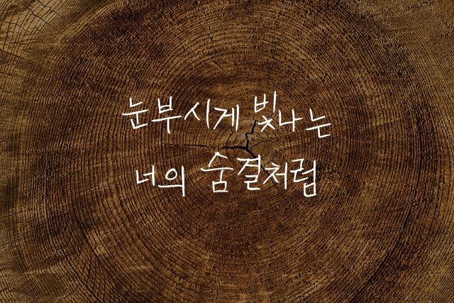 어비 이부손체