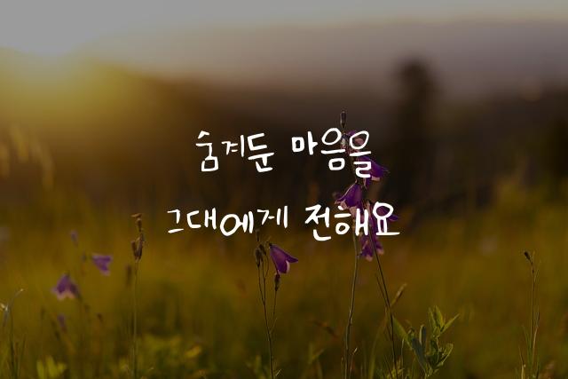 어비 진건체