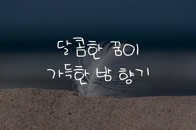 어비 지슉지슉체