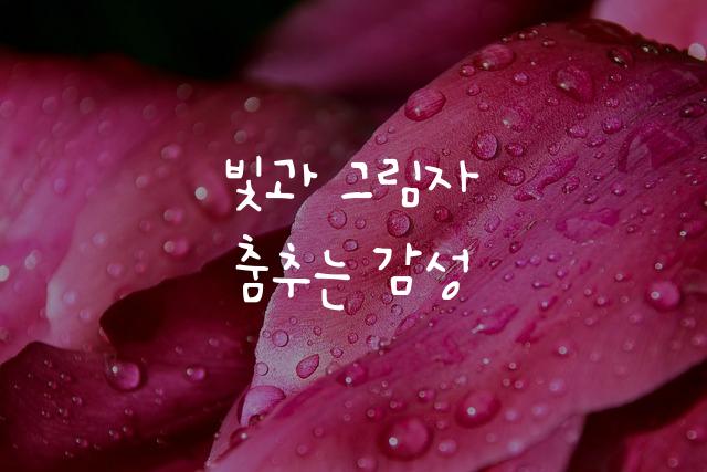어비 조커체