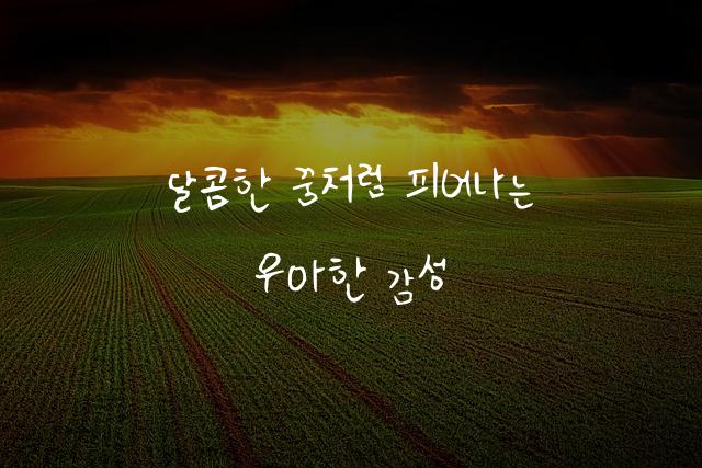어비 카이루체