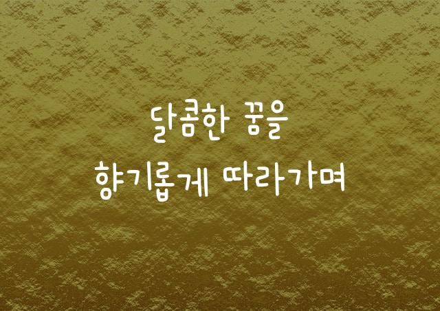 어비 미미체