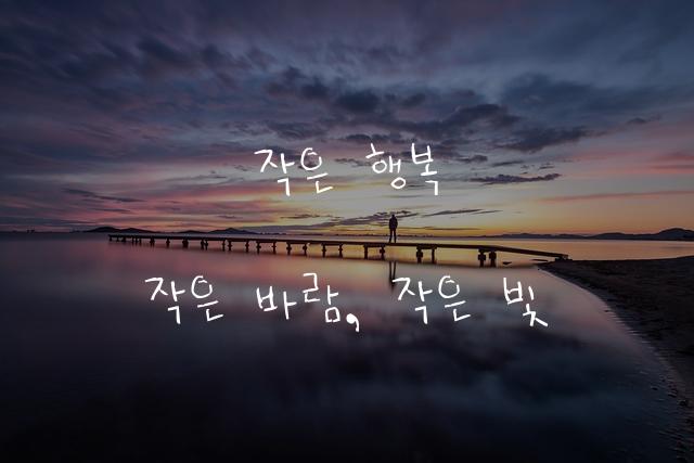 어비 미니도리체