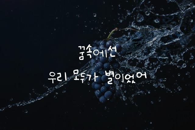 어비 나현체