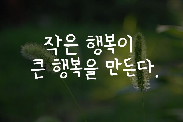 어비 남소영체