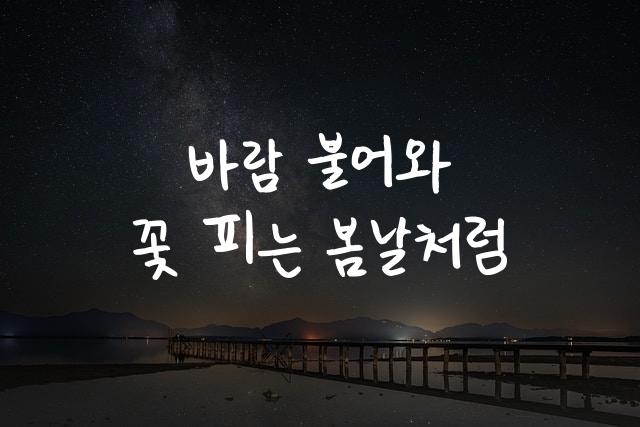 어비 다빈체