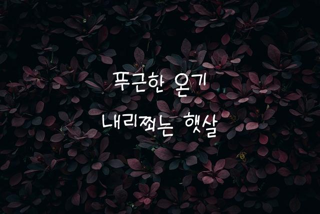어비 류가체