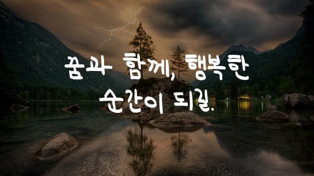 어비 슬기로운생활체